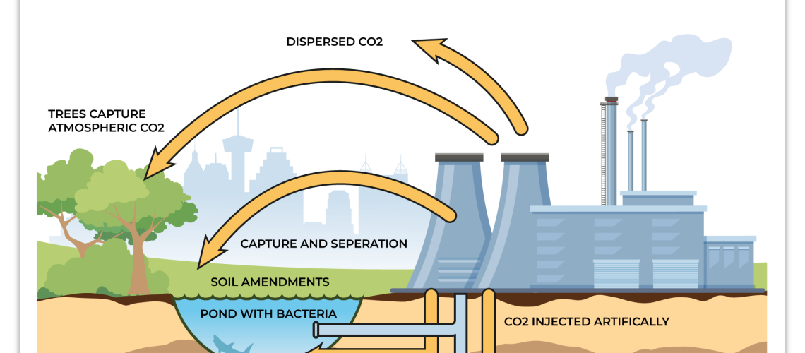 the CO2 sequestration process